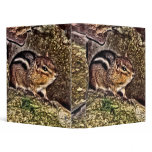 Chipmunk on Rocks Painting binders