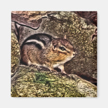 Chipmunk on Rocks Painting Fridge Magnet