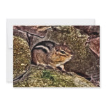 Chipmunk on Rocks Painting Custom Invites