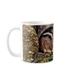 Chipmunk on Rocks Painting mugs