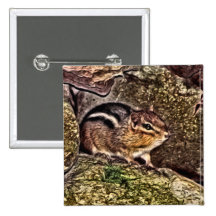 Chipmunk on Rocks Painting Pin