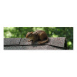 Chipmunk on the Roof Business Card Templates