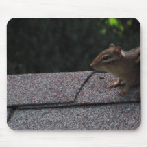 Chipmunk on the Roof Mousepads