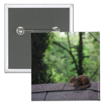 Chipmunk on the Roof Pinback Buttons
