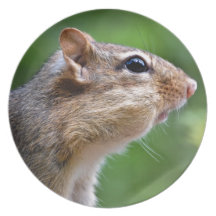 Chipmunk Party Plates