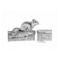 Chipmunk Pen and Ink Drawing posters