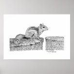 Chipmunk Pen and Ink Drawing posters