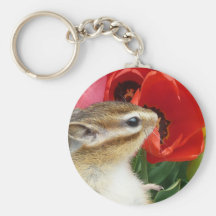 Chipmunk photo (30) keychains