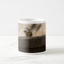 Chipmunk Posing Mug