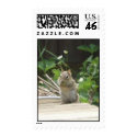 chipmunk postage