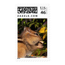 Chipmunk Postage Stamps (vertical) by ForTheAnimals Chipmunk Postage Stamps (vertical)
