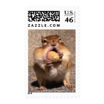 Chipmunk Postage Stamps (vertical)