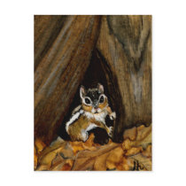Chipmunk Postcard