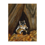 Chipmunk Postcard