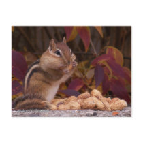 Chipmunk Postcard by ForTheAnimals Chipmunk Postcard