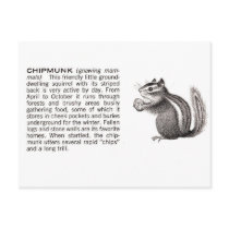 chipmunk post card