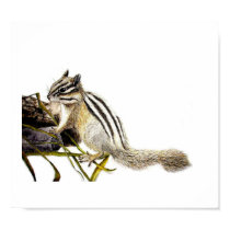 Chipmunk posters by BAbdoyan Chipmunk posters