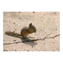chipmunk poster posters
