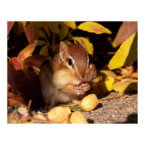Chipmunk - Print by ForTheAnimals Chipmunk - Print