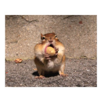 Chipmunk - Print by ForTheAnimals Chipmunk - Print
