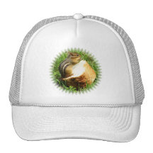 Chipmunk saying grace hats