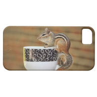 Chipmunk Sitting on a Latte Coffee Mug iPhone 5 Case