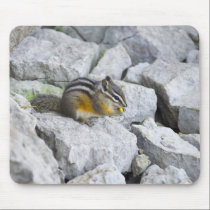 Chipmunk Snack mousepads