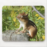 Chipmunk Soaking Up the Sun Mousepad mousepads