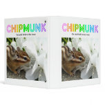 Chipmunk , Squirrel . (llustration , photo) binders