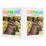 Chipmunk , Squirrel . (llustration , photo) binders