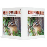 Chipmunk , Squirrel . (llustration , photo) binders