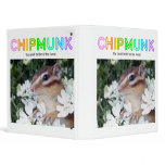 Chipmunk , Squirrel . (llustration , photo) binders