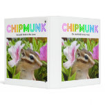 Chipmunk , Squirrel . (llustration , photo) binders