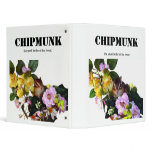 Chipmunk , Squirrel . (llustration , photo) binders