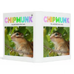 Chipmunk , Squirrel . (llustration , photo) binders