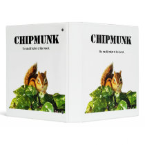 Chipmunk , Squirrel . (llustration , photo) Binder