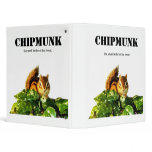 Chipmunk , Squirrel . (llustration , photo) binders