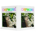 Chipmunk , Squirrel . (llustration , photo) binders