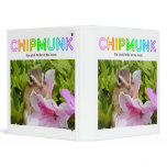 Chipmunk , Squirrel . (llustration , photo) binders