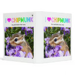 Chipmunk , Squirrel . (llustration , photo) binders