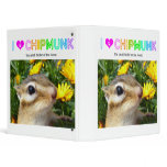 Chipmunk , Squirrel . (llustration , photo) binders