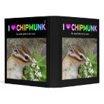 Chipmunk , Squirrel . (llustration , photo) binders