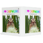 Chipmunk , Squirrel . (llustration , photo) binders