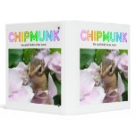 Chipmunk , Squirrel . (llustration , photo) binders