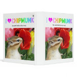 Chipmunk , Squirrel . (llustration , photo) binders