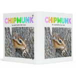 Chipmunk , Squirrel . (llustration , photo) binders