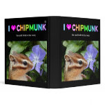 Chipmunk , Squirrel . (llustration , photo) binders