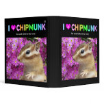 Chipmunk , Squirrel . (llustration , photo) binders