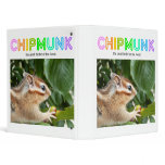 Chipmunk , Squirrel . (llustration , photo) binders
