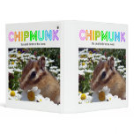 Chipmunk , Squirrel . (llustration , photo) binders